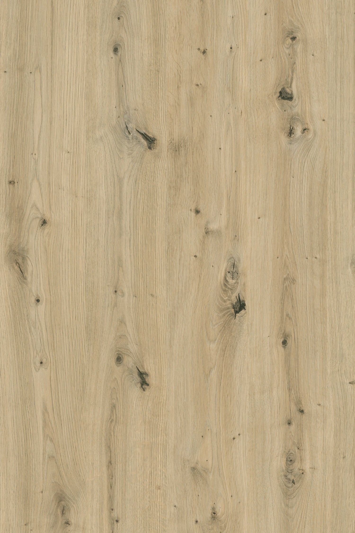TOM Couchtisch Artisan Eiche (Eiche-Optik)
