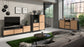 TV-Board BLACKWOOD / Lowboard Anthrazit mit Absetzung in Artisan Eiche / Fernsehtisch mit 2 Klappen und 1 Tür / B 190, H 58, T 38 cm
