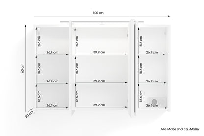 byLIVING Spiegelschrank SPREE / Korpus matt weiß oder anthrazit mit Spiegeltüren / Hängeschrank mit Soft-Close-Funktion / Inklusive LED-Beleuchtung / Badschrank mit Stecker- und Schalterdose / B 100, H 60, T 20 cm
