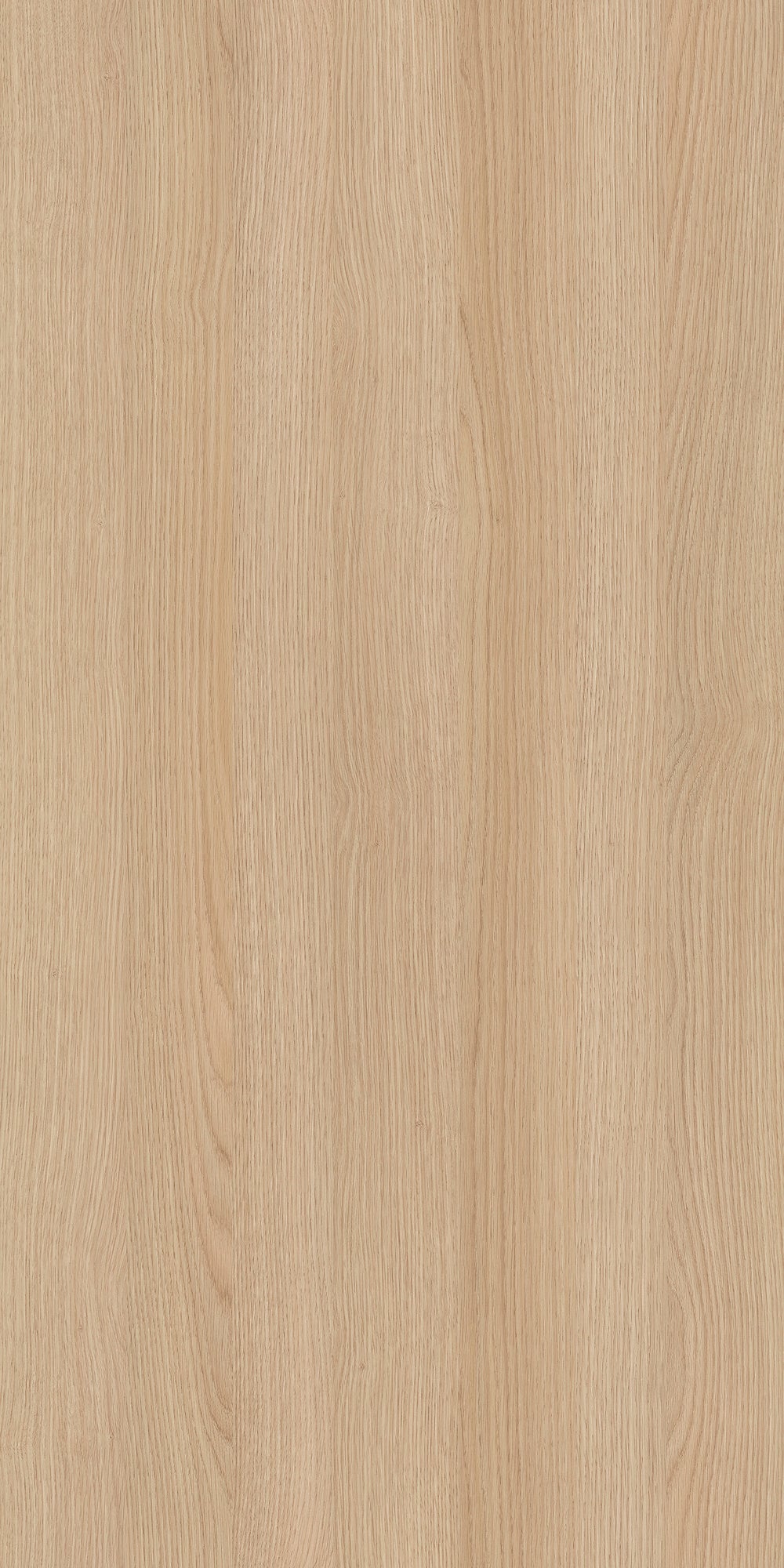 byLIVING Highboard BASTIAN / Eiche bianco, weiß / Griffe und Füße Massivholz Eiche / 3 Türen, 3 Schubladen / viel Stauraum / Kommode / Schrank / Maße: B 120, H 131, T 36,5 cm