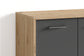 Schuhschrank BEN / Schuhkommode in Artisan Eiche (Eiche-Optik), Old Wood (Altholz-Optik) oder weiß/ kleine Flur-Kommode mit zwei Türen Einlegeböden / Sideboard klein / B 63, H 83, T 35 cm