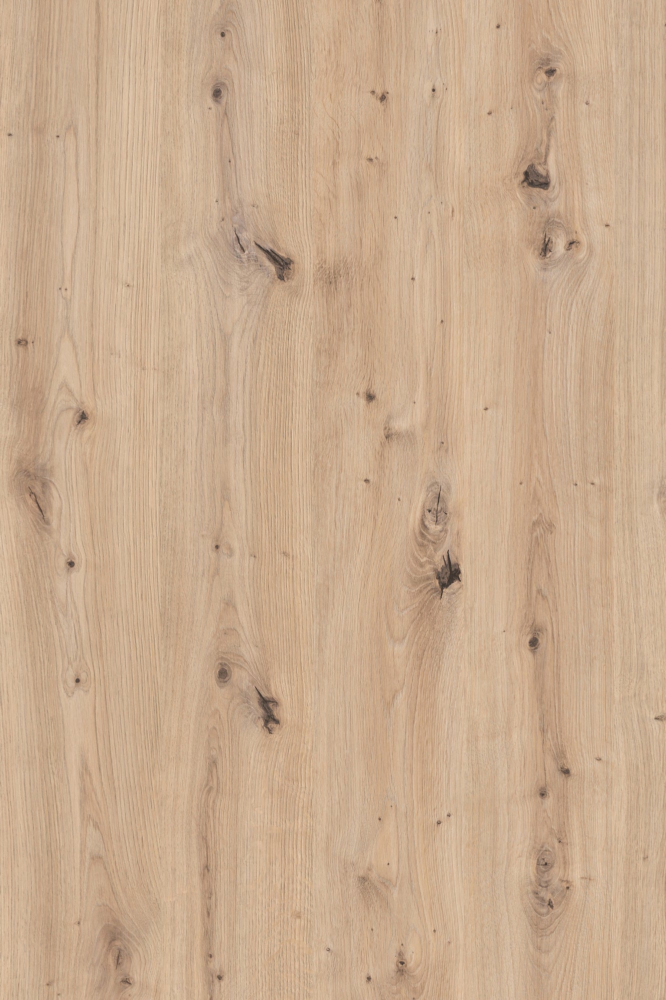 Spiegel-Schrank JAKOB / Eintüriger Hochschrank mit Spiegeltür / Artisan Eiche (Eiche-Optik), weiß oder Old Wood (Altholz-Optik) / Griffe silber oder schwarz / Tür variabel rechts oder links / 5 Fächer / Garderoben-Schrank / B 49, H 196, T 30 cm